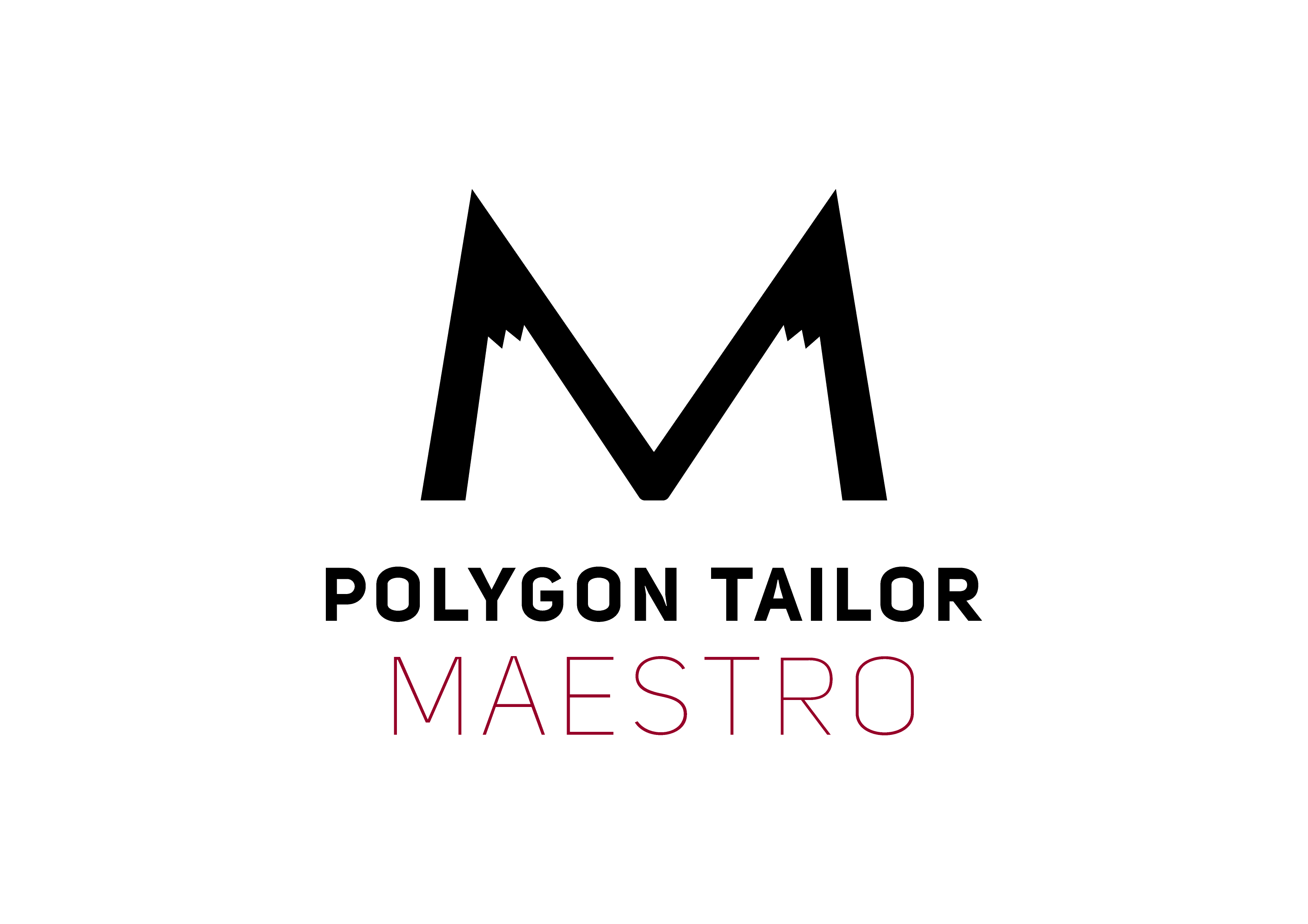 POLYGON TAILOR MAESTRO